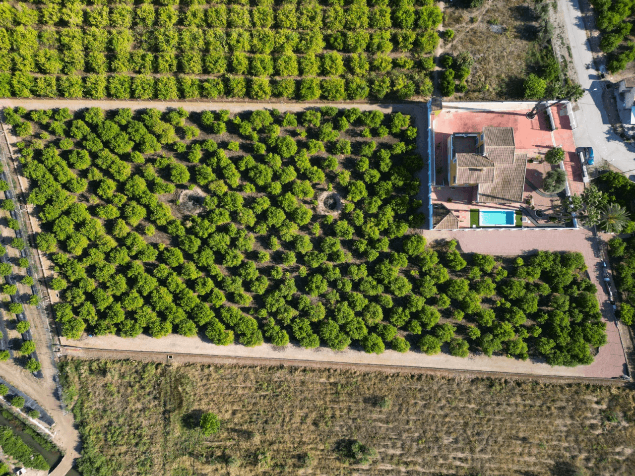 Finca à la vente à Orihuela