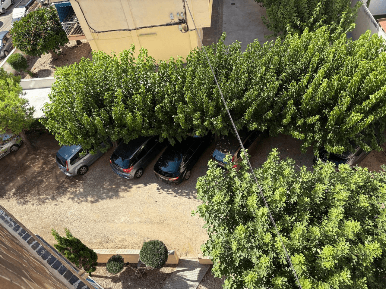 Apartamento en venta en Torrevieja