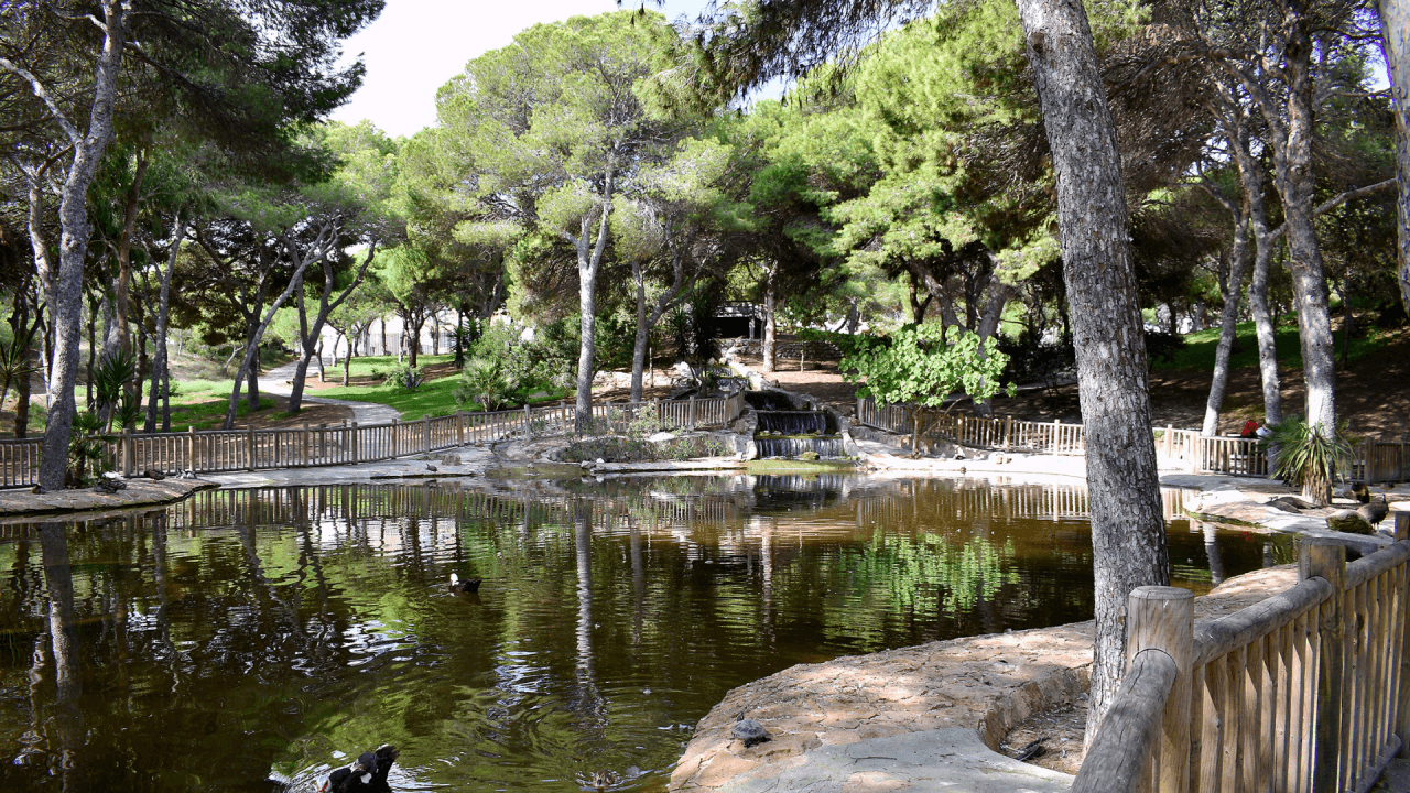 Parcela en venta en Guardamar Del Segura
